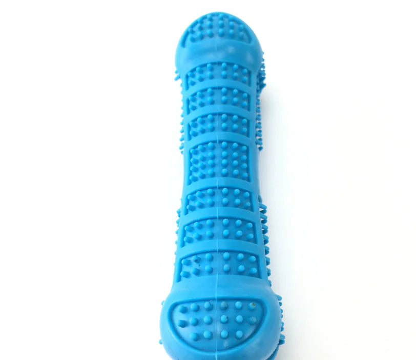 Eco-Friendly Dog Dental Toys